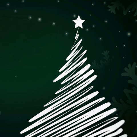 programa_navidad_santa_brigida