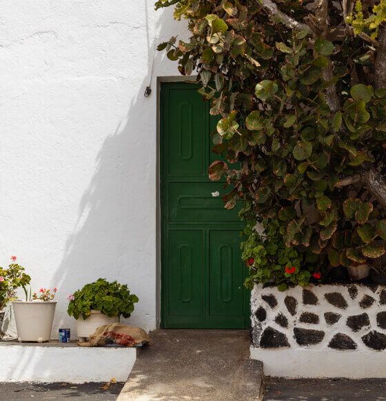 Quesería Flor de Teguise