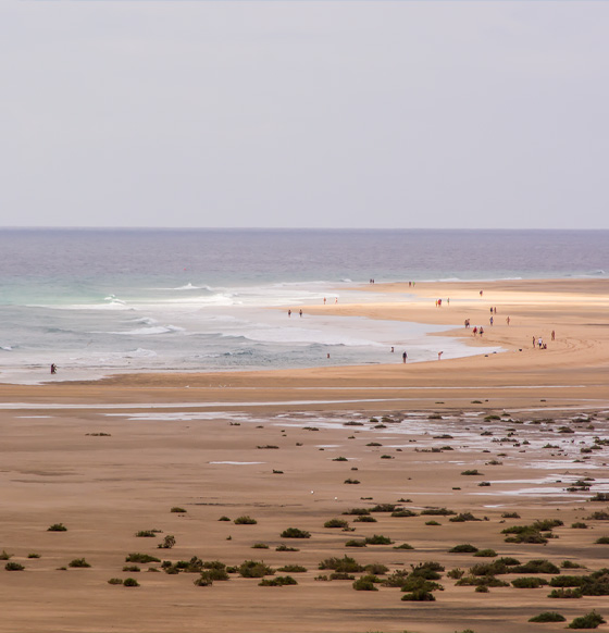 Playa de Sotavento - listado