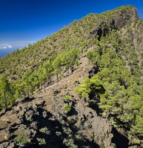 Valencia – Pico Bejenado 