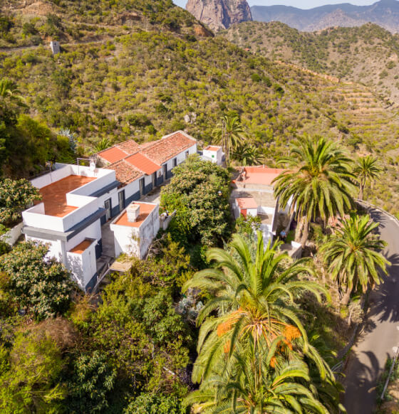 Tamargada - Mazapeces