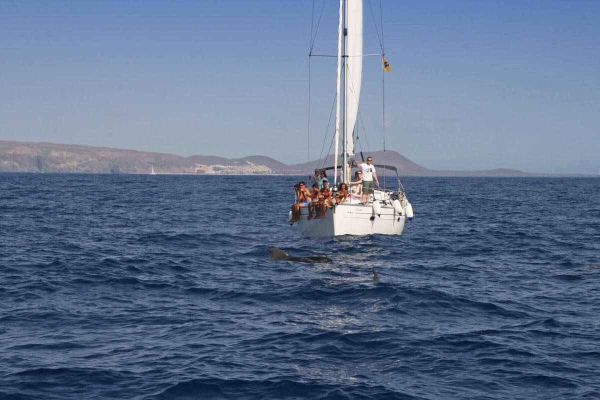 Excursión para avistar cetáceos en libertad - galeria3