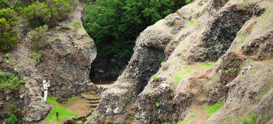  Strom Garoé, na ostrově El Hierro