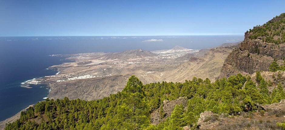 Tamadaba-Bajada de Faneque + Stezky na Gran Canaria