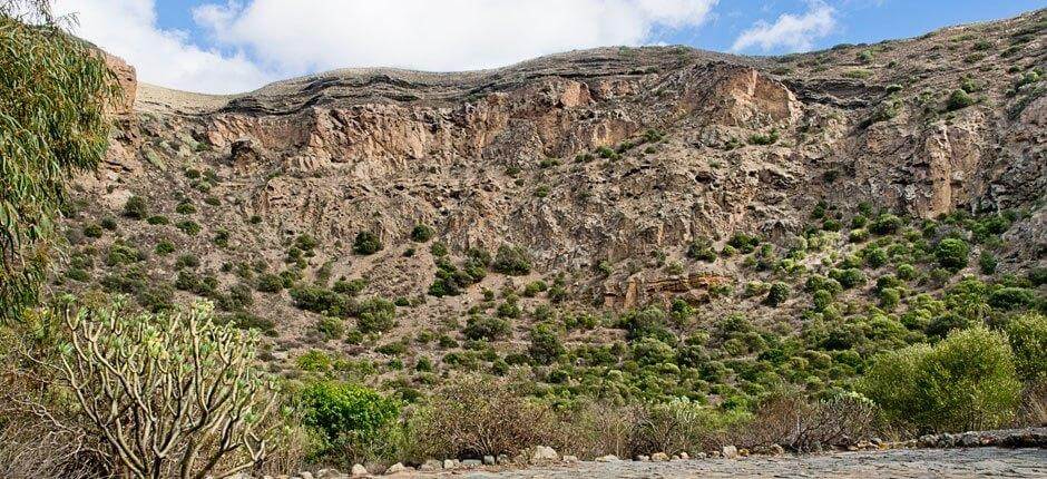 Caldera de Bandama + Stezky na Gran Canaria