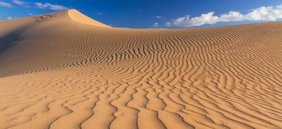 Reserva Natural Especial de las Dunas de Maspalomas, en Gran Canaria