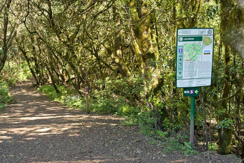 Sendero Las Creces