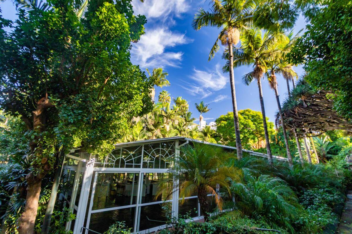 Jardín de la Marquesa de Arucas