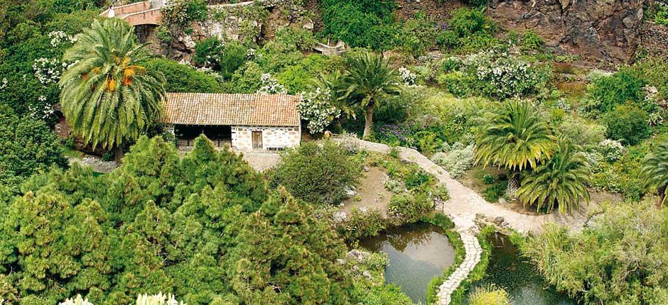 Botanická zahrada Viera y Clavijo Muzea a turistická centra na Gran Canaria