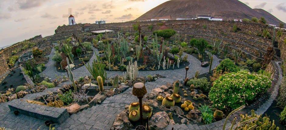 Kaktusová zahrada Muzea a turistická centra na Lanzarote