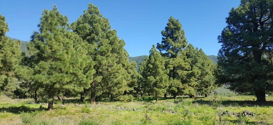 El Riachuelo. Orientación de La Palma