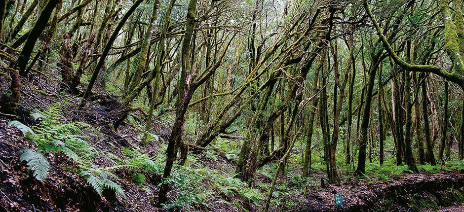 El Riachuelo. Orientación de La Palma