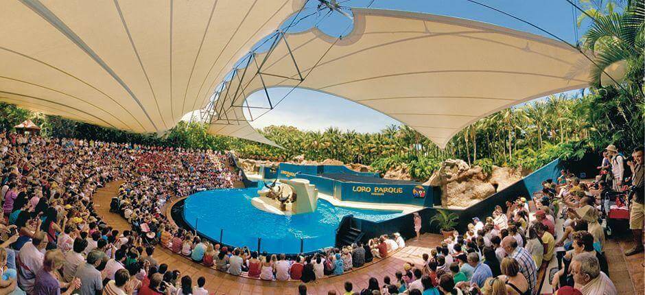 Loro Parque Zoologické zahrady na Tenerife