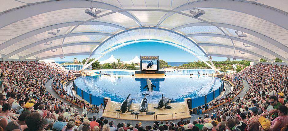 Loro Parque Zoológicos de Tenerife