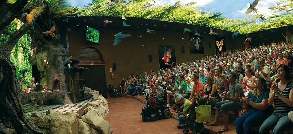 Loro Parque Zoológicos de Tenerife