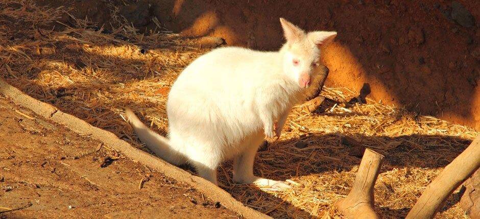 Maroparque Zoológicos de La Palma