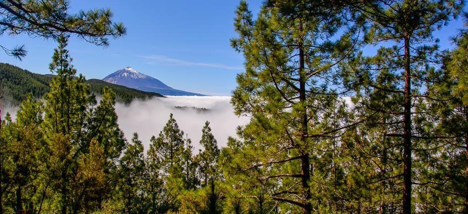 Vyhlídka Ortuño na Tenerife