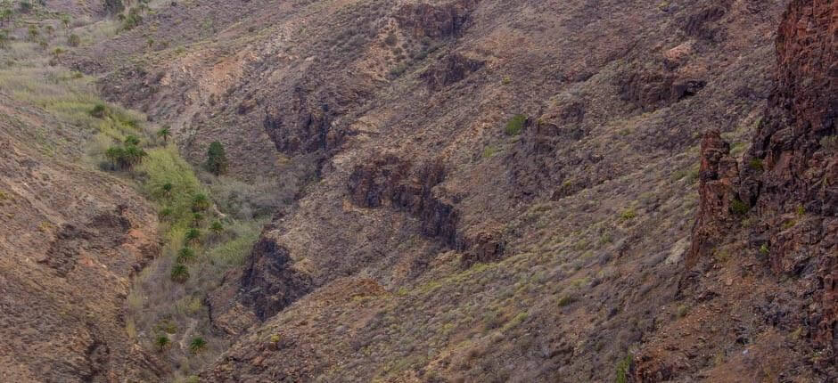 Vyhlídka La Degollada de las Yeguas, Gran Canaria