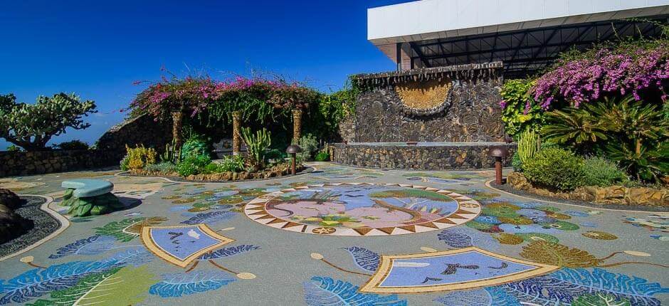 Museo del Vino de La Palma. Bodegas de La Palma