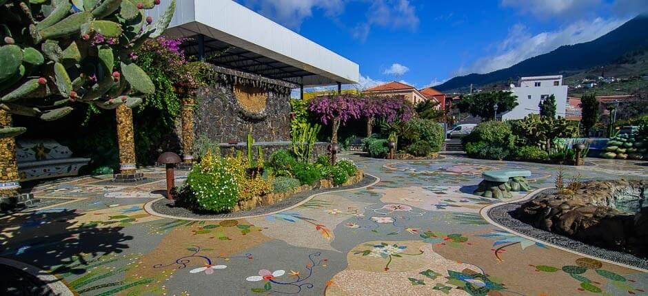 Museo del Vino de La Palma. Bodegas de La Palma