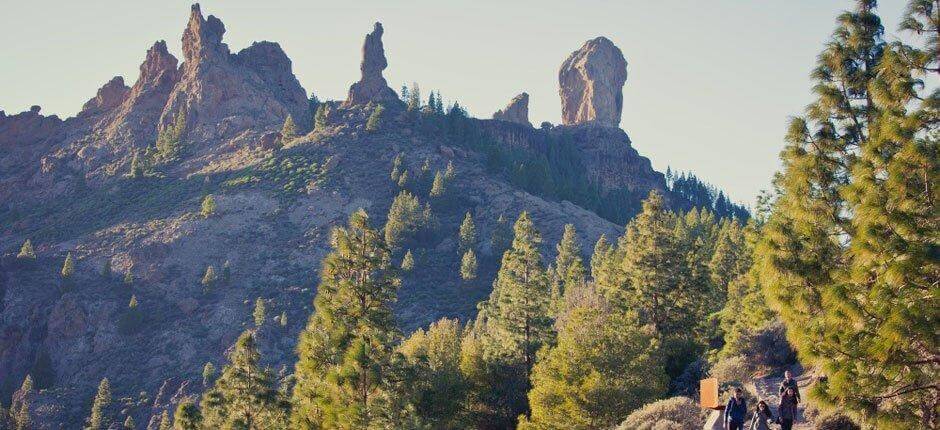 Parque Rural del Nublo, en Gran Canaria