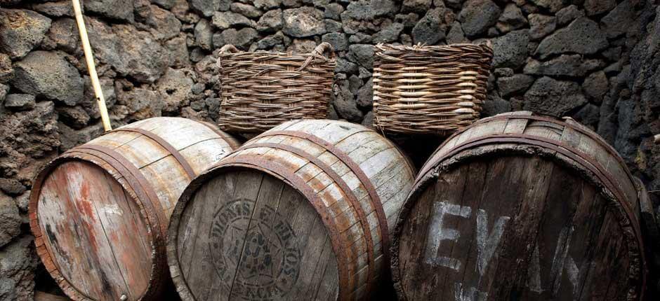 Ekomuzeum Guinea Muzea a turistická centra na El Hierro