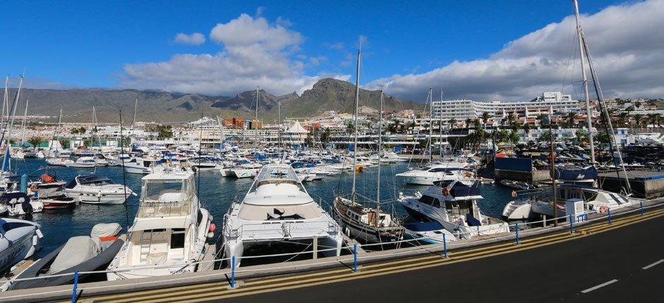 Puerto Colón Marinas y puertos deportivos de Tenerife