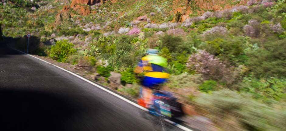 Ruta en bici del norte al centro de Gran Canaria Rutas en bici en Gran Canaria