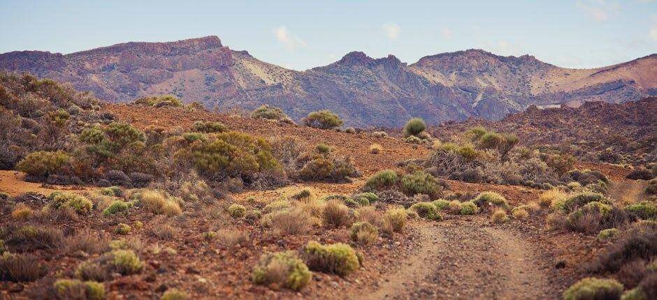 Rutas Trail Running Tenerife