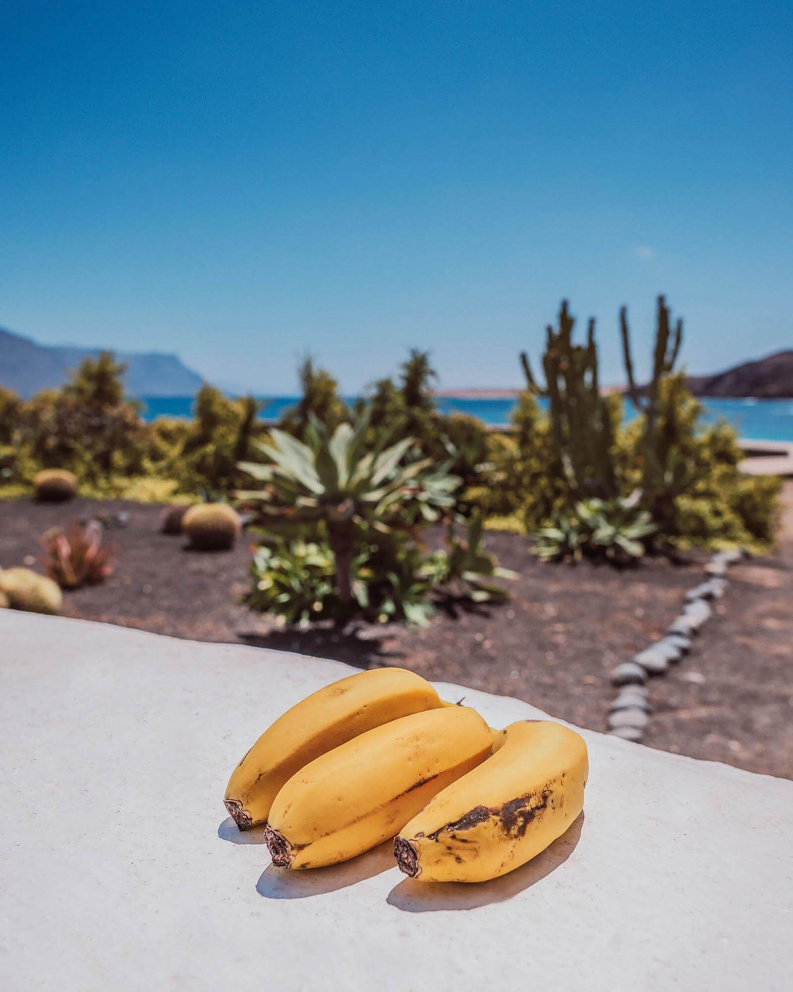 Banány z Kanárských ostrovů