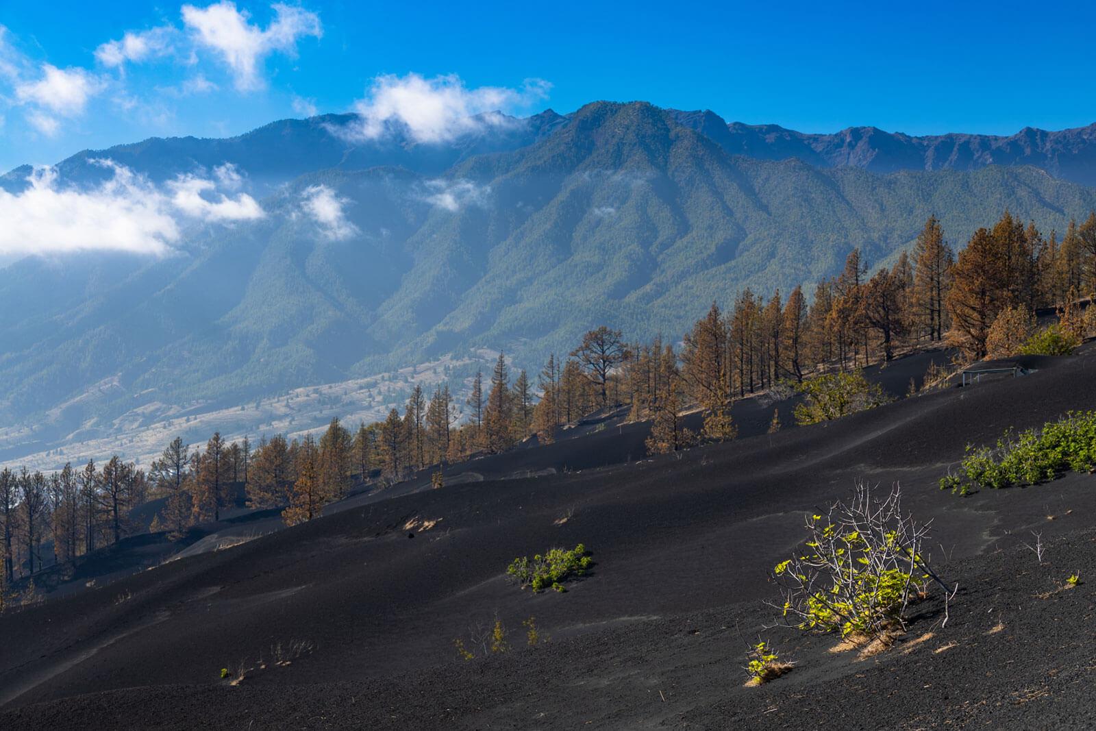 Volcán. El Paso. La Palma.