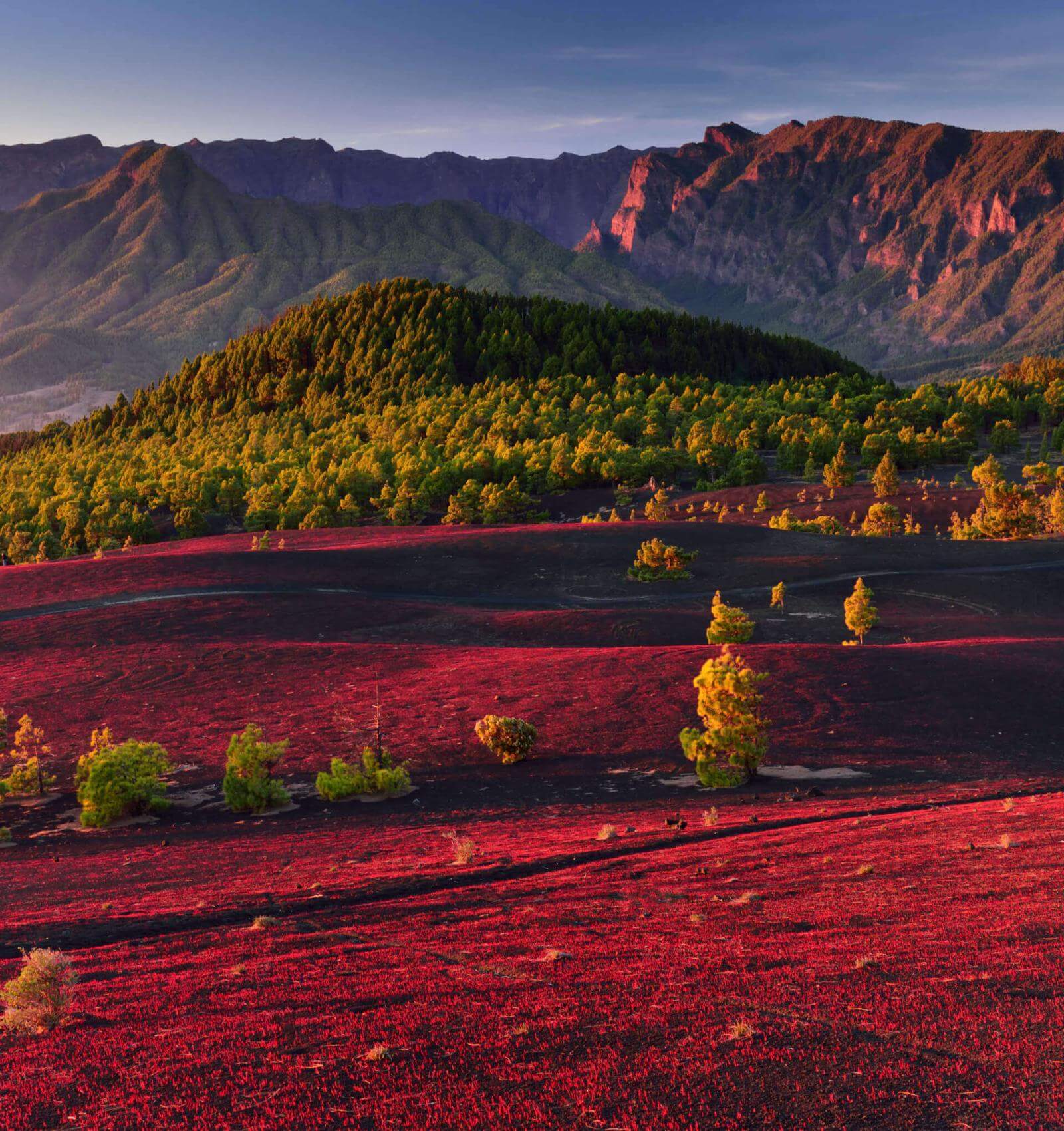 Llanos del Jable na ostrově La Palma s červenou vulkanickou plání, lesem kanárských borovic a horami v pozadí.