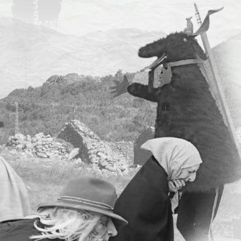 pinata-de-teno-alto-2026