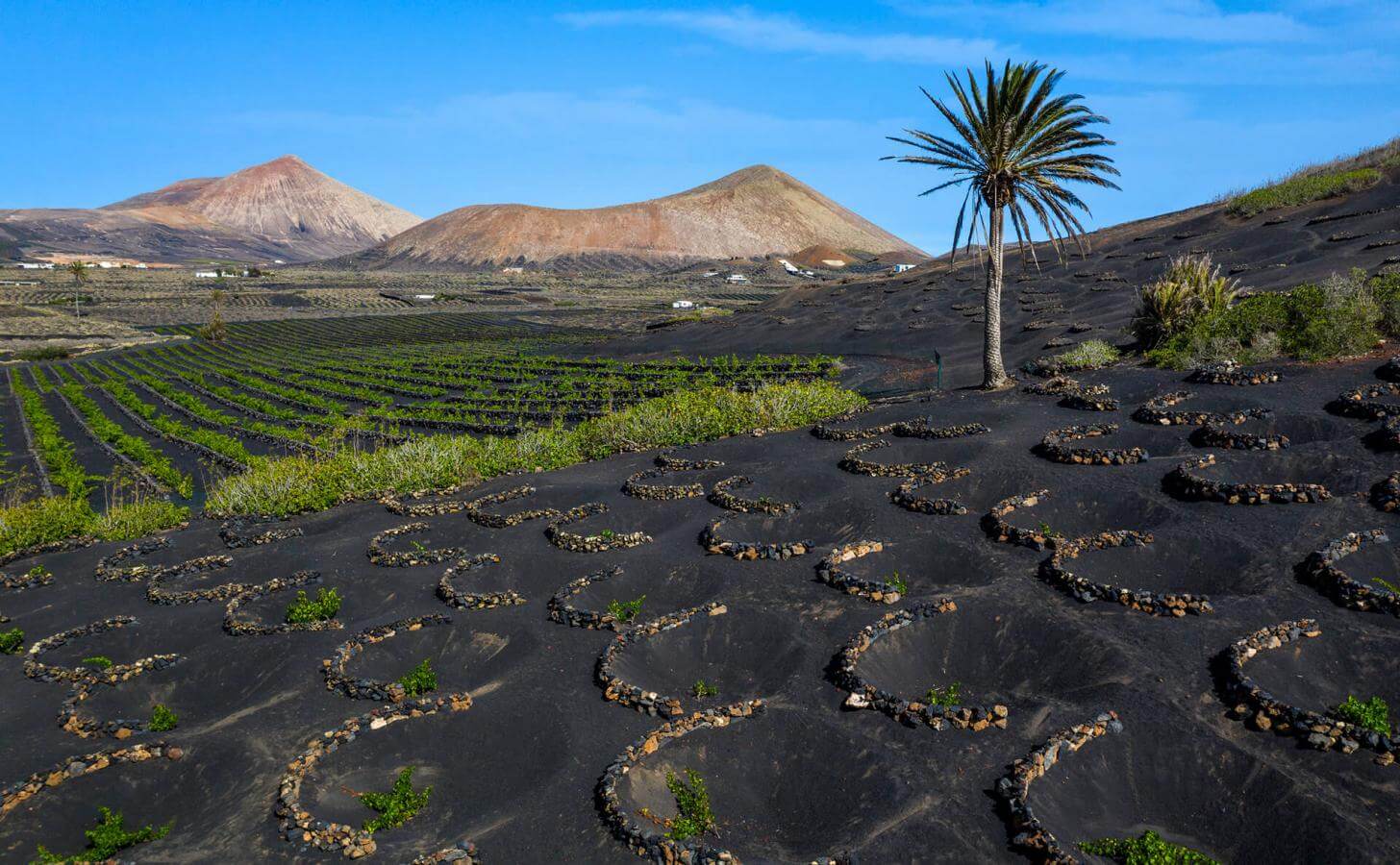 Paisaje Protegido de La Geria, en Lanzarote