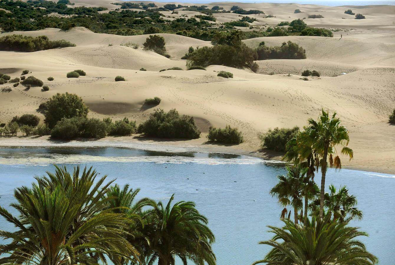 Excursión a la playa de Maspalomas, al sur de la isla - galeria2