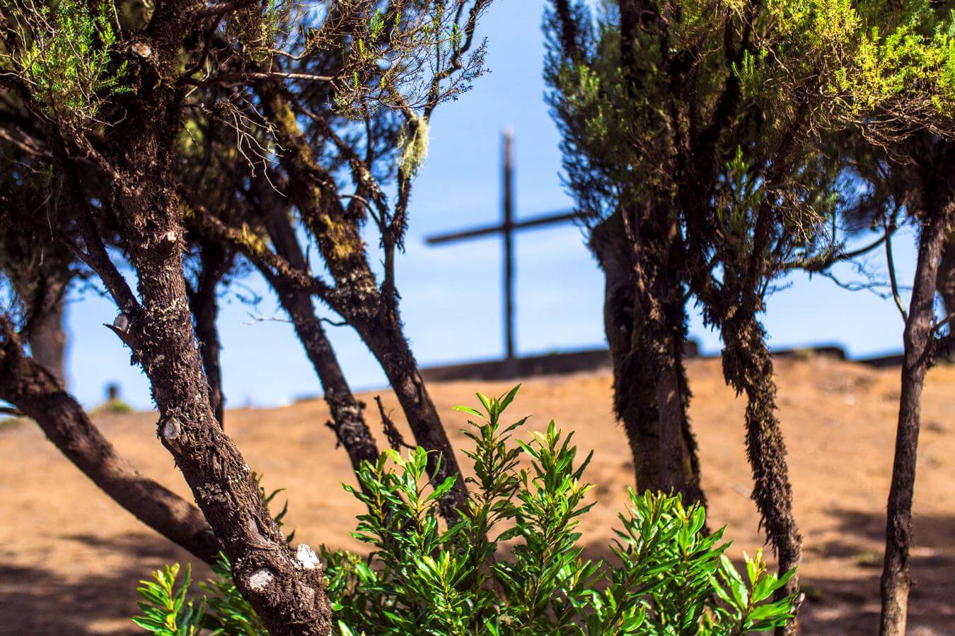 Cruz de Los Reyes