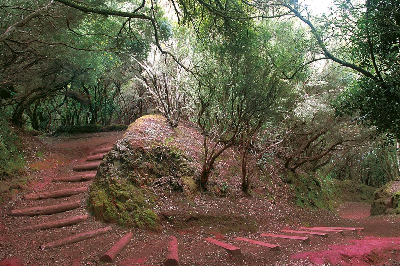 Anaga, una excursión para amantes de la naturaleza - galeria4