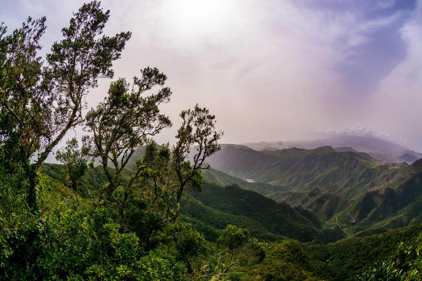 Mirador de Pico del Inglés - galeria1