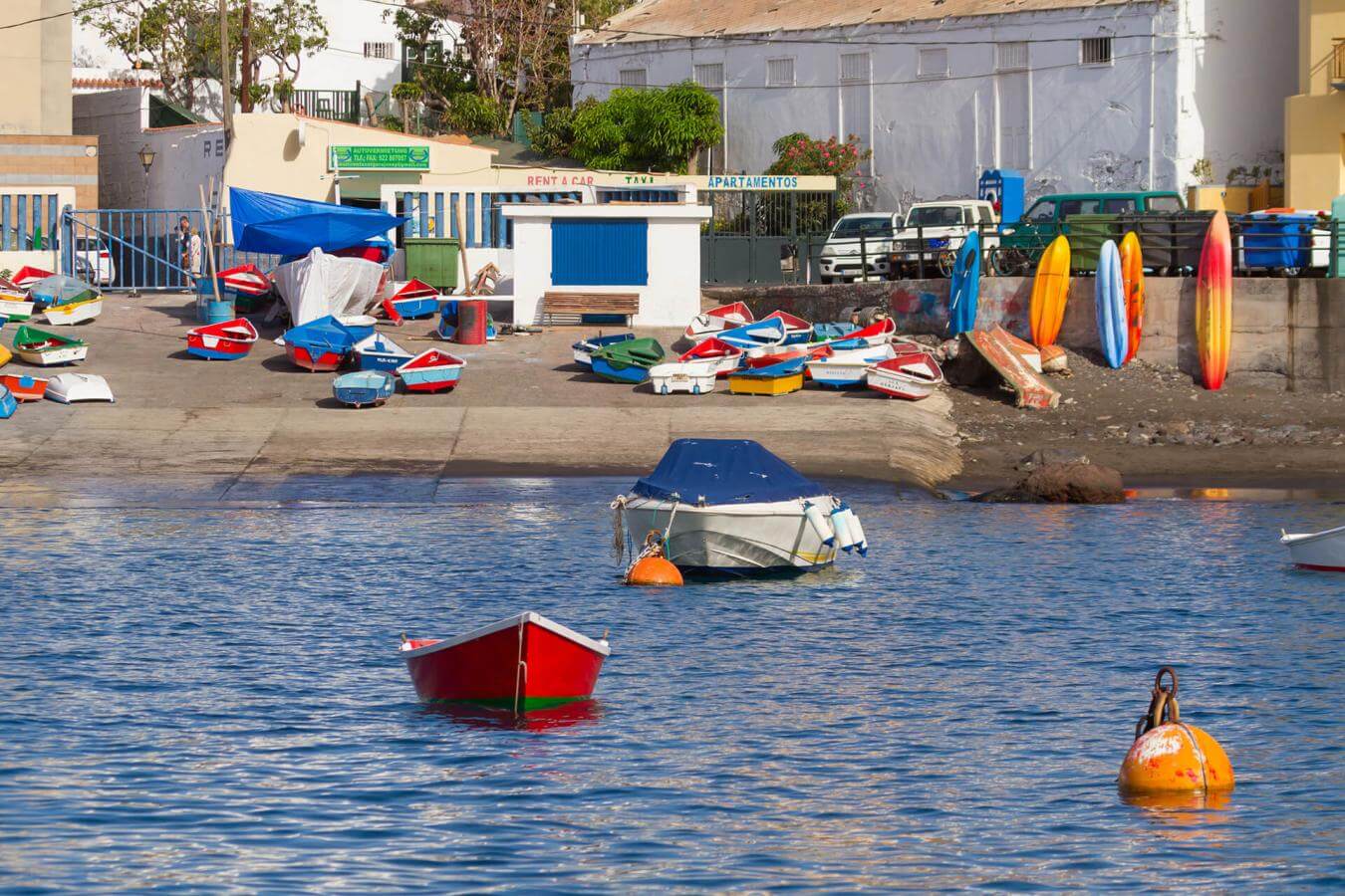 Avistamiento de cetáceos Puerto de Las Vueltas - galeria2