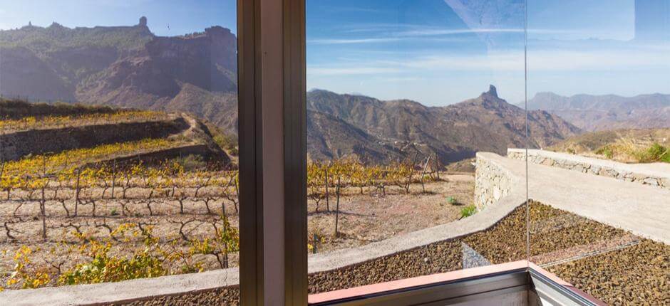 Bodega Bentayga en Gran Canaria