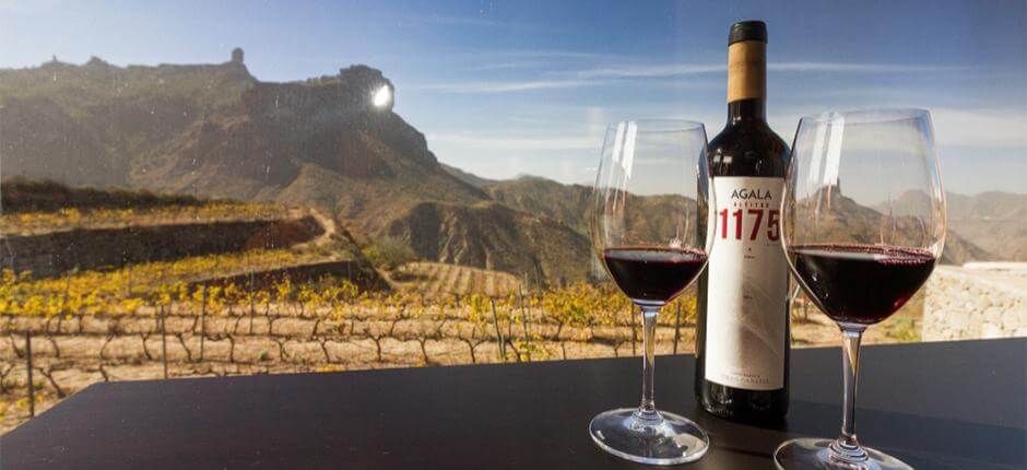 Bodega Bentayga en Gran Canaria