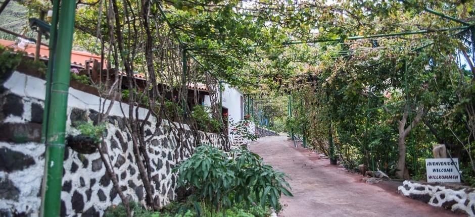 Bodega Los Berrazales. Bodegas de Gran Canaria