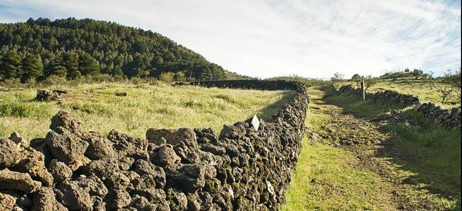 Camino de la Virgen + Stezky na El Hierro