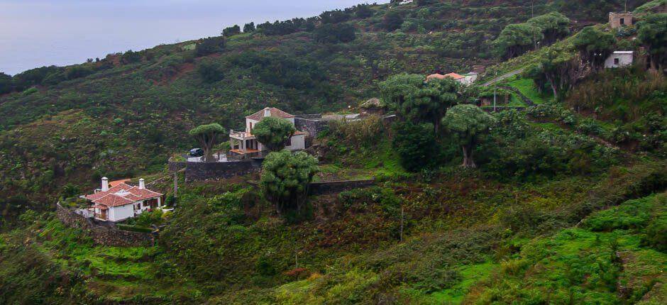 La Tosca caseríos de La Palma
