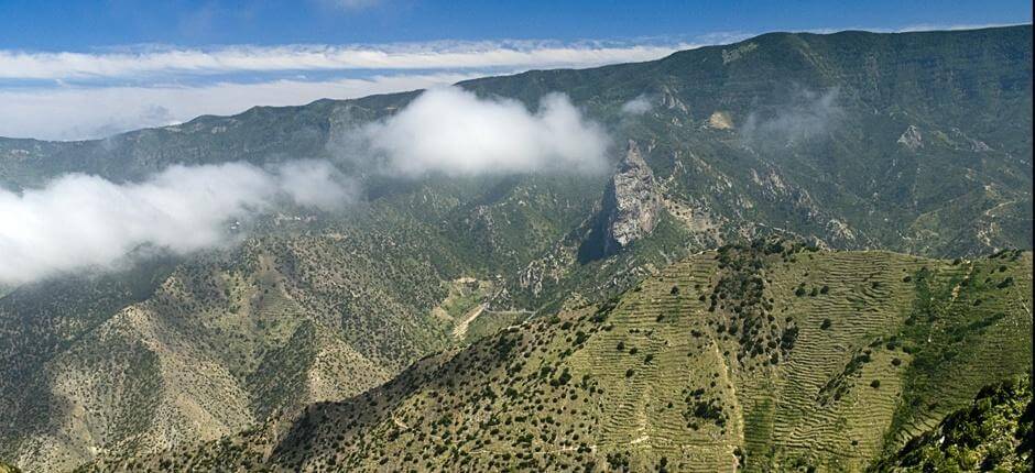 Okruh Vallehermoso + Stezky La Gomera