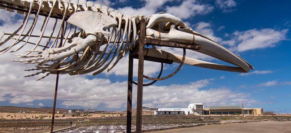 Muzeum soli Muzea na ostrově Fuerteventura