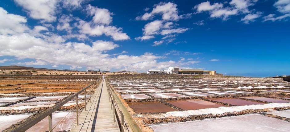 Muzeum soli Muzea na ostrově Fuerteventura