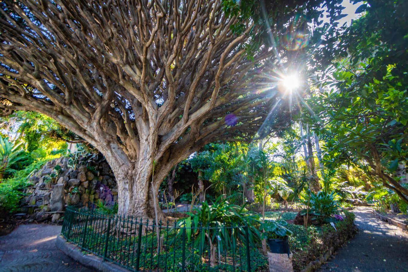 Jardín de la Marquesa de Arucas