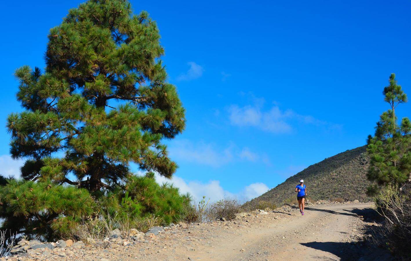 Guía de Isora-Trail