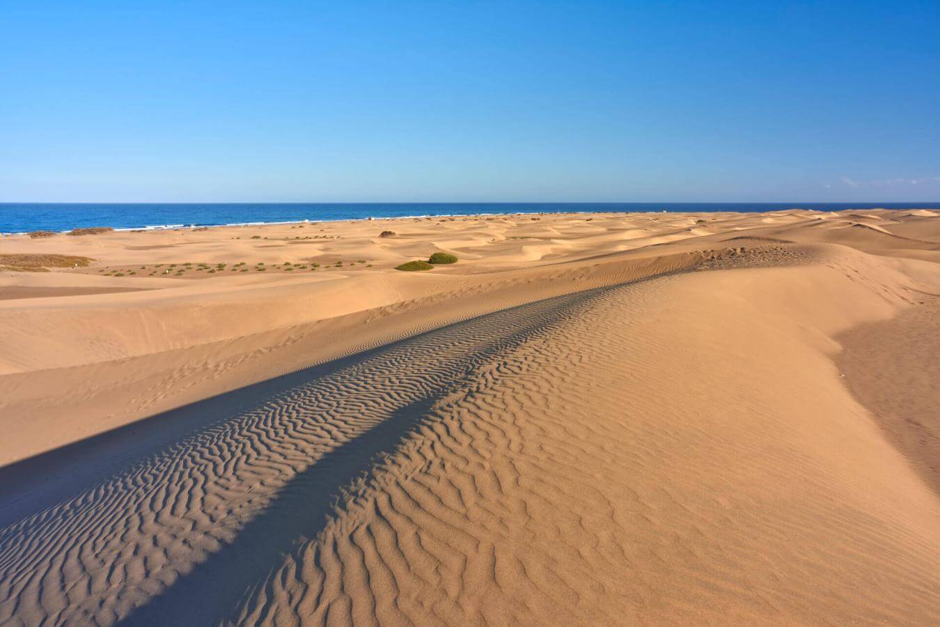 Playa de Maspalomas